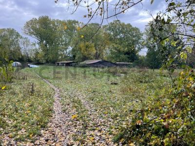 Cautín, Región De La Araucanía 00001, Chile