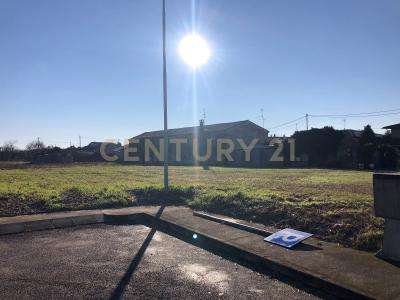 Via Angiaresca, San Pietro Di Morubio, Veneto 37050, Itália