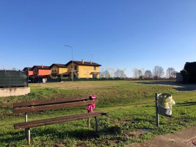 Via Angiaresca, San Pietro Di Morubio, Veneto 37050, Itália