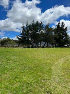 Rionegro, Antioquia 00001, Colômbia