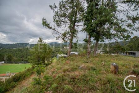 Medellín, Antioquia 00001, Colombia