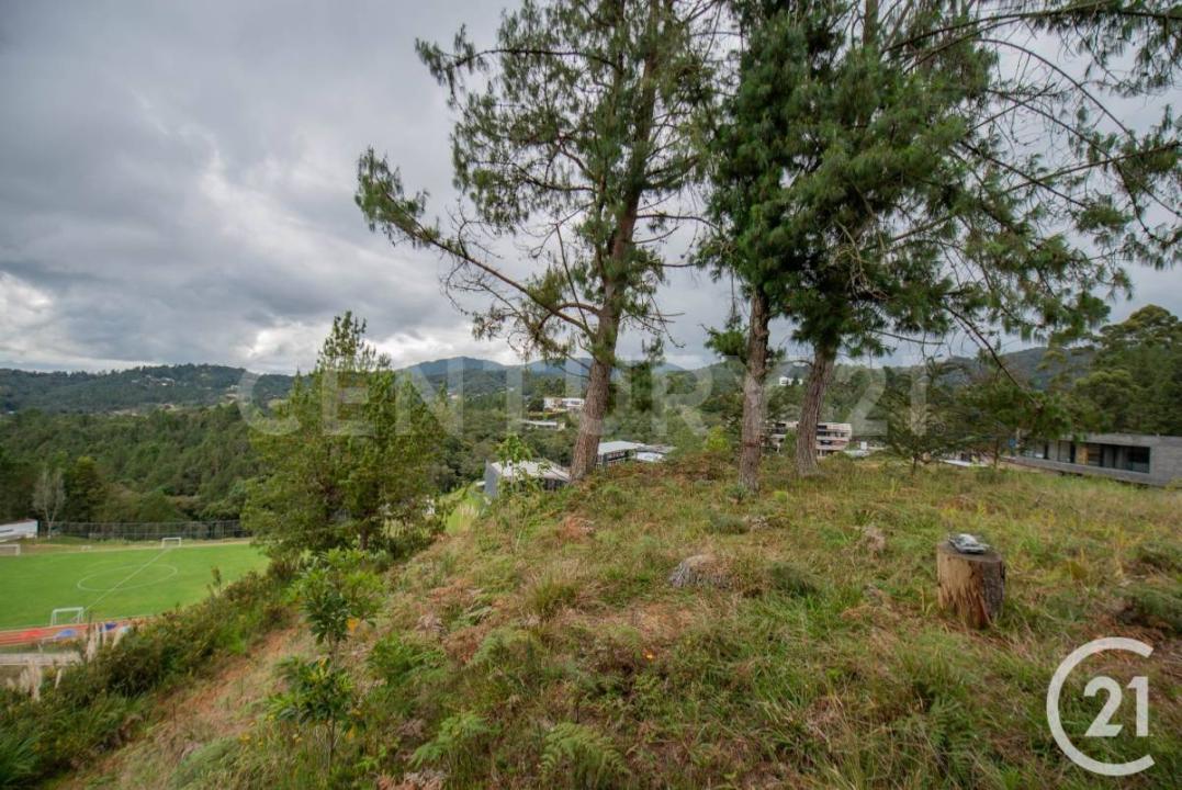 Medellín, אנטיוקיה 00001, קולומביה