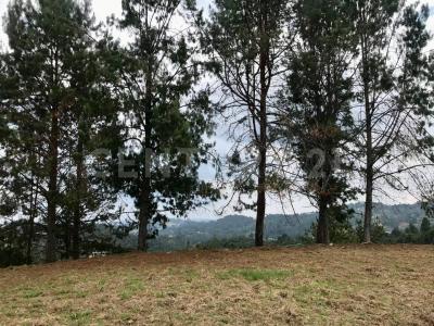 Medellín, אנטיוקיה 00001, קולומביה