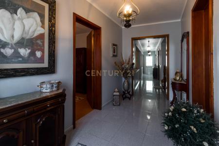 Ribeira Grande, São Miguel 9625-116, Portugal