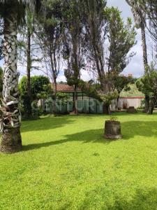 Reforma S/N,, San Agustin Etla, Oaxaca 68247, Mexico