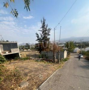 Jesús Montenegro SN,, Morelia, Michoacán 58330, México