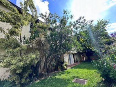 Calle Colegio El Angel San Francisco de Asis, Caracas, Miranda 00001, Venezuela