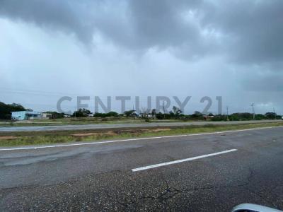 principal S/N, Punta De Piedras, Nueva Esparta 6301, Venezuela