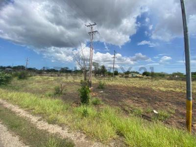 principal S/N, Punta De Piedras, Nueva Esparta 6301, Venezuela