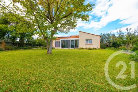 Perpignan, Languedoc-Roussillon 66000, France