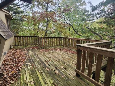 25961 Willow Road, Hermitage, Missouri 65668