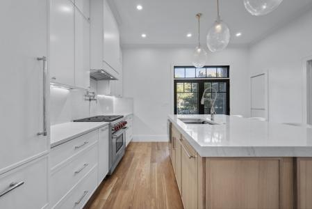 193 West Springfield Street, Boston, 麻薩諸塞州 02118, 美國