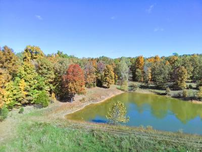 1710 Ripley 142W-7, Gatewood, 密蘇里州 63942, 美國