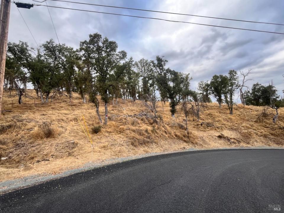 9429 Copsey Creek Way, Lower Lake, California 95457