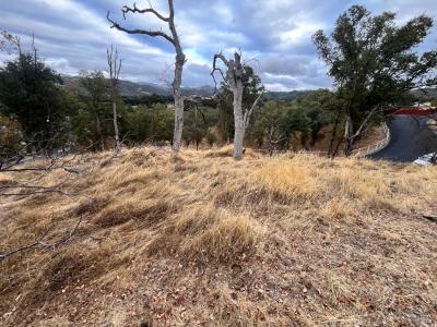 9429 Copsey Creek Way, Lower Lake, California 95457