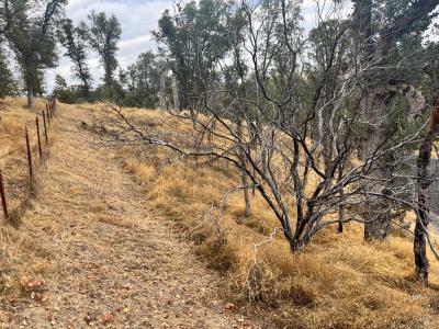 9429 Copsey Creek Way, Lower Lake, California 95457