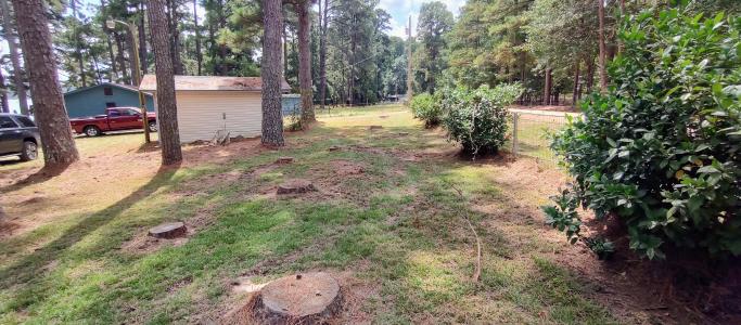 297 Ouachita 312, Chidester, アーカンソー 71726, アメリカ合衆国