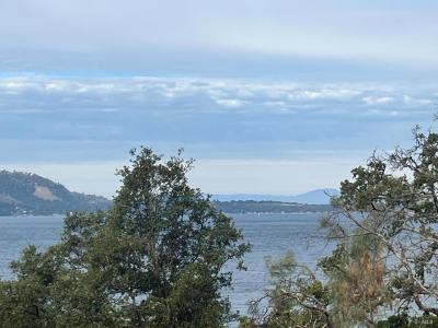 11478 Lakeshore Drive, Clearlake, 加利福尼亚州 95422, 美国