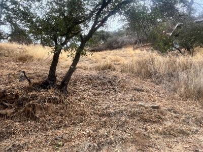 11478 Lakeshore Drive, Clearlake, 加利福尼亚州 95422, 美国