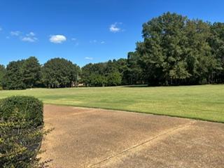 9115  Riveredge Dr, Cordova, Tennessee 38018