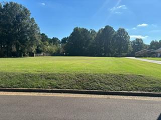 9115  Riveredge Dr, Cordova, Tennessee 38018