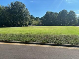 9115  Riveredge Dr, Cordova, Tennessee 38018