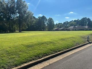 9115  Riveredge Dr, Cordova, Tennessee 38018