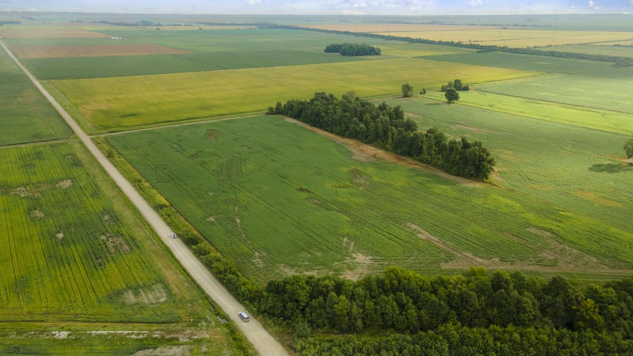 County Road 264/265, Hayti, Missouri 63851, Amerika Birleşik Devletleri