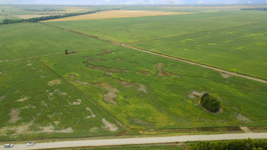 County Road 264/265, Hayti, Missouri 63851, Amerika Birleşik Devletleri