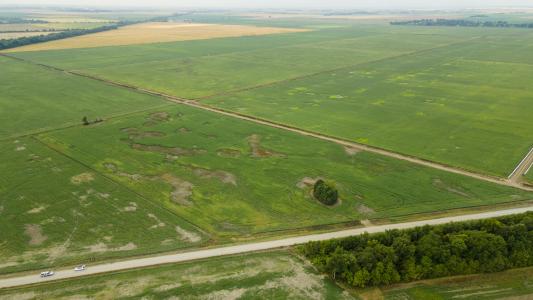 County Road 264/265, Hayti, Missouri 63851, Amerika Birleşik Devletleri