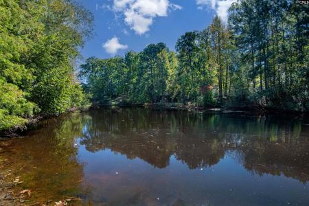 112 Mallard Lakes Court, Lexington, 南卡羅來納州 29072, 美國