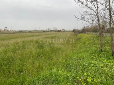 Luzë, Fushë Krujë, Albania