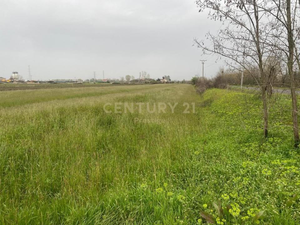 Luzë, Fushë Krujë, アルバニア