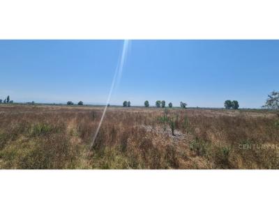 Sektori Rinia, Durrës, Albania