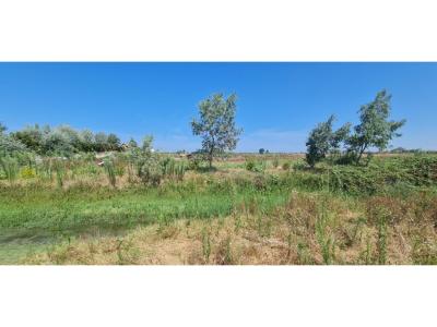 Sektori Rinia, Durrës, Albania