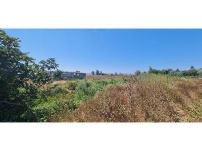 Sektori Rinia, Durrës, Albania