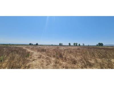 Sektori Rinia, Durrës, Albania