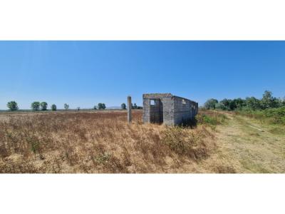 Sektori Rinia, Durrës, Albania