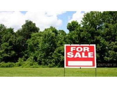 Mullet, Tirana, Albania