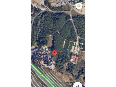 Mullet, Tirana, Albania