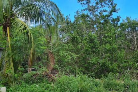 .3 ACRE LOT NORTH SIDE, Midland East, Grand Cayman, Iles Caïmans