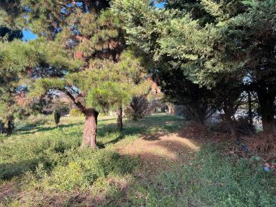Merlo, GBA Oeste B1722, Argentina