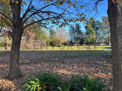 Merlo, GBA Oeste B1722, Argentina