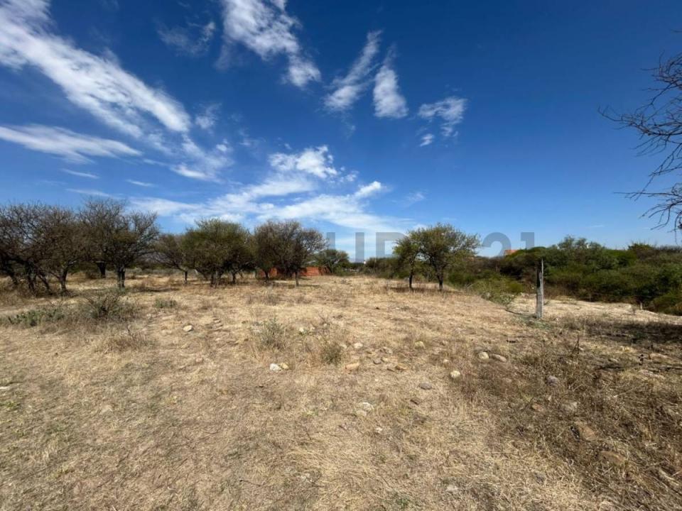 ARANJUEZ ZONA LOS PARRALES A DOS CUADRAS DE LA AV OSCAR ALFARO , Aranjuez, Tarija 00001, Bolivia