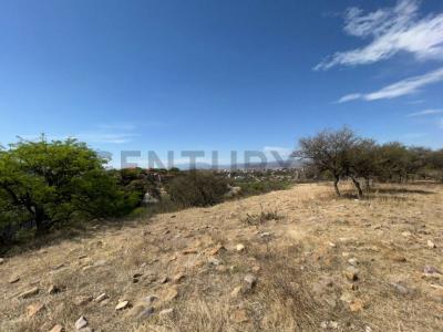 ARANJUEZ ZONA LOS PARRALES A DOS CUADRAS DE LA AV OSCAR ALFARO , Aranjuez, Tarija 00001, Bolivia
