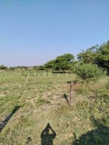 PARCELA VIRGEN DE COTOCA, ARROYITO MZA 5 LOTE 7 , Este, Santa Cruz 0000, Боливия