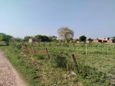 PARCELA VIRGEN DE COTOCA, ARROYITO MZA 5 LOTE 7 , Este, Santa Cruz 0000, Боливия