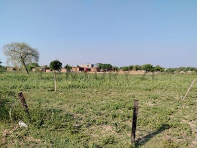 PARCELA VIRGEN DE COTOCA, ARROYITO MZA 5 LOTE 8 , Este, Santa Cruz 0000, Bolivia