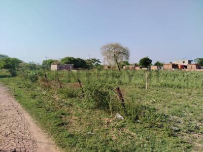 PARCELA VIRGEN DE COTOCA, ARROYITO MZA 5 LOTE 8 , Este, Santa Cruz 0000, Bolivia