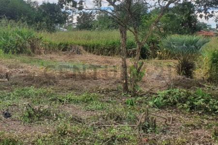 Urb. Maná, Beni 00001, Bolivia